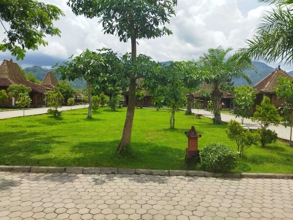 Terrein van de accommodatie