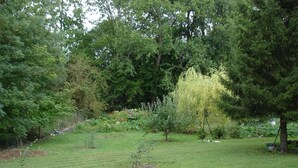 A garden with a variety of trees, a lawn, and yellow flowers.
