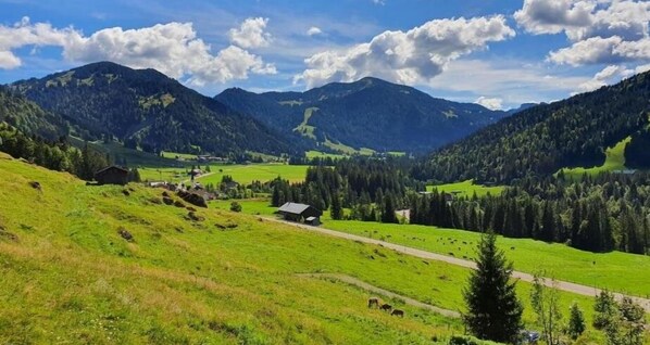 A rural landscape with a road, green fields, and scattered buildings. - 1-room apartment with mountain view on the ski slope with WiFi, Netflix, Prime (Balderschwang)