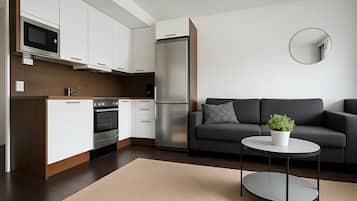 City Studio | Private kitchen | Fridge, microwave, oven, electric kettle