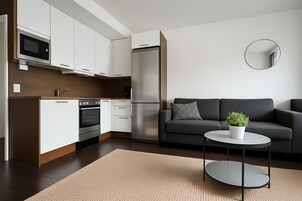 City Studio | Private kitchen | Fridge, microwave, oven, electric kettle