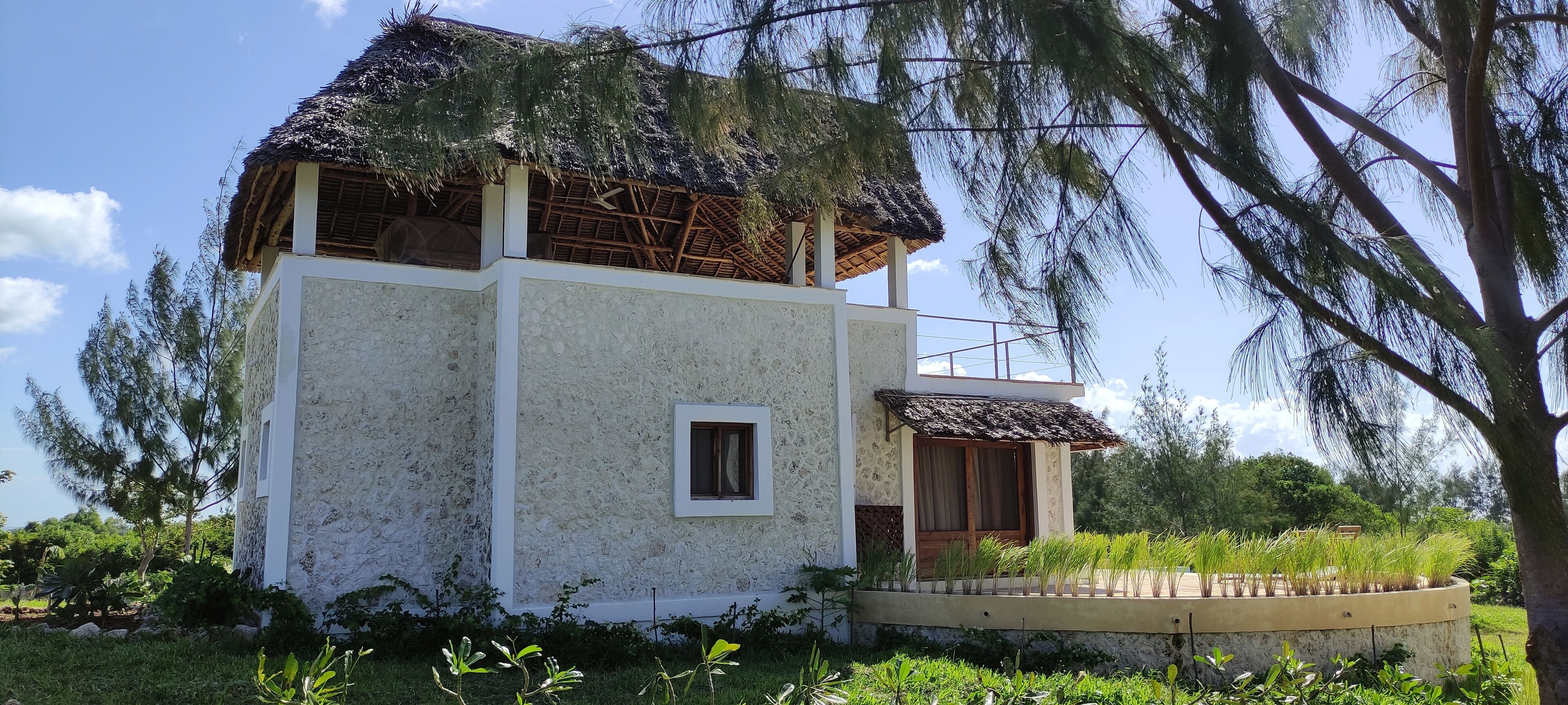Un edificio blanco con techo de paja, rodeado de follaje y árboles.