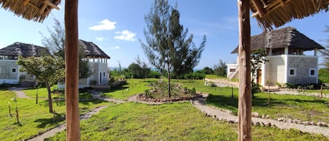 Resort view