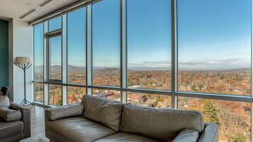 Televisión y chimenea