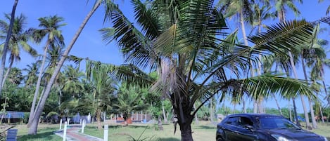 Terrain de lâhĂ©bergement