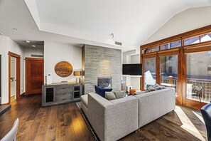 Smart TV, fireplace, stereo, computer monitors