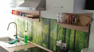 Frigorífico, microondas, horno y placa de cocina