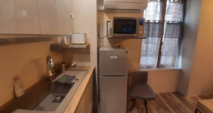 Les IRIS APT 105, T2 COSY, 30 m2 , 1 chambre avec TV