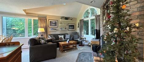 Fernseher, Kamin, DVD-Player