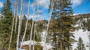 Paisatge montaños amb arbres alts i una pendent coberta de neu.