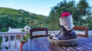 A wooden table with a single black boot and a potted plant with pink flowers. - ΣΠΙΤΙ ΑΝΤΩΝΗΣ ΓΙΑΝΝΑ - HOUSE ADONIS GIANA (ΑΝΩ ΠΑΥΛΙΑΝΑ)