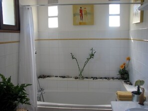 Combined shower/bathtub, bidet