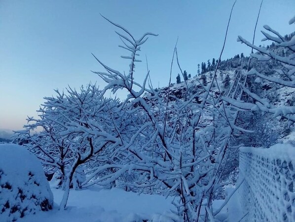 Exterior - Hotel Deewan-e-Aziz International (Bagh)