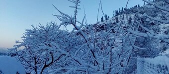 Hotel Deewan-e-Aziz International