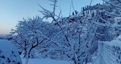 Hotel Deewan-e-Aziz International