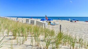Una playa con arena, césped y una bandera.