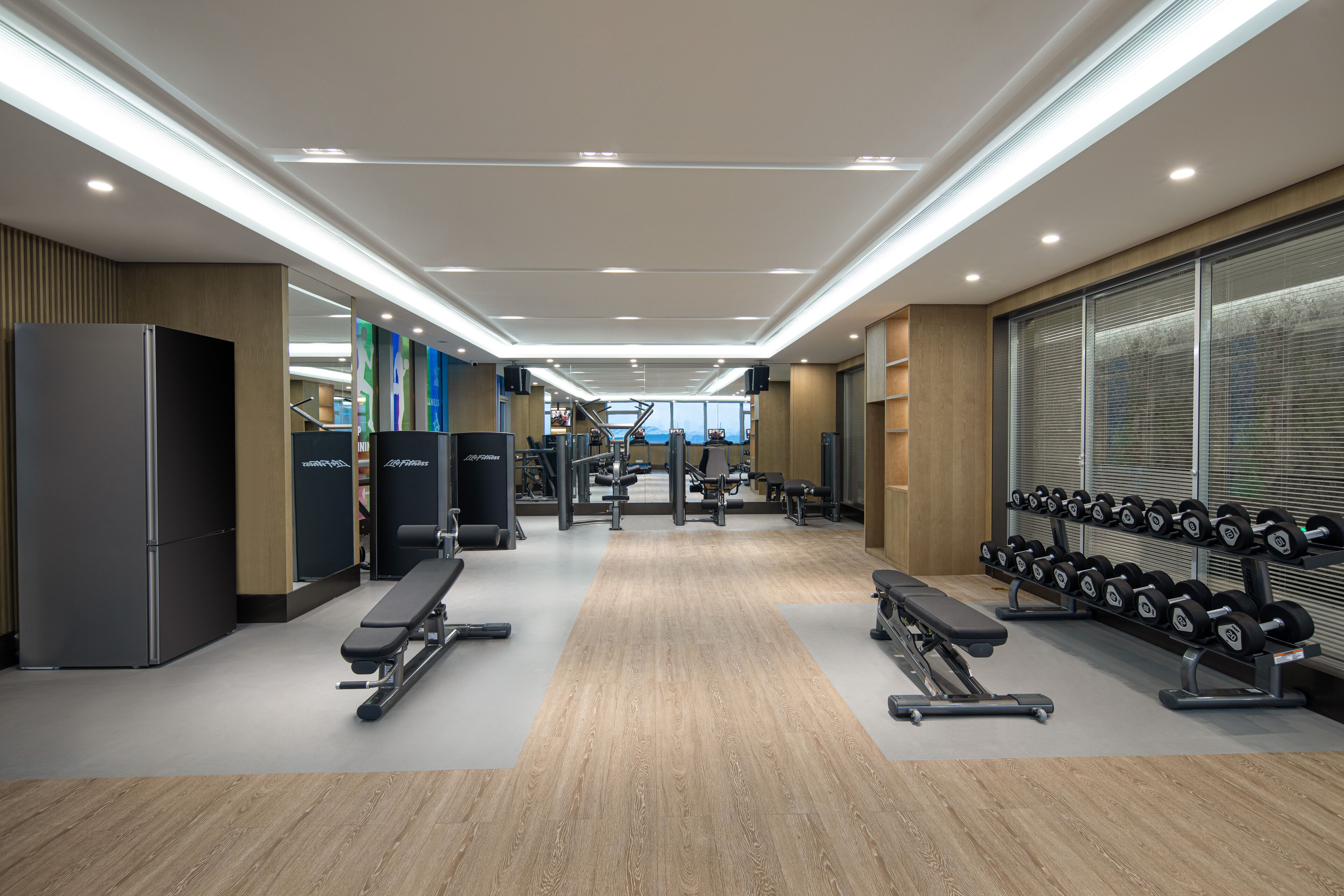 Un gimnasio moderno con equipo de cardio, bancos de pesas y mancuernas.