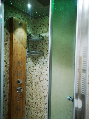 Regadera, secadora de cabello, bidet, toallas 