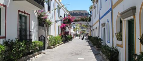 Eine enge Straße gesäumt von traditionellen Gebäuden, mit Balkonen, die mit Pflanzen und Blumen geschmückt sind, und einem Berg im Hintergrund.