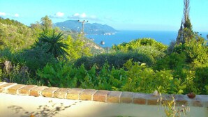 A terrace with a view of the sea and mountains, a brick wall, and some greenery. - House Lemoni, Apartment B - Pelekas, Corfu (Corfu)