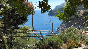 Ein Garten mit Kakteen und Sukkulenten, einem Holzzaun und Blick auf Boote auf dem Meer.