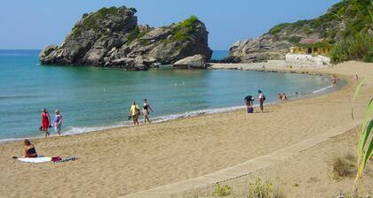 House Lemoni - Studio