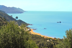 Apartment, 1 Bedroom, Smoking, Patio | Beach