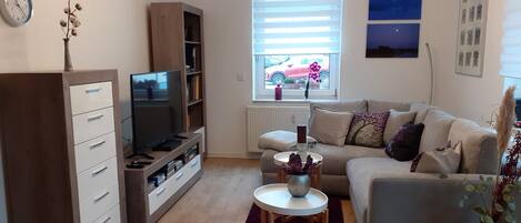 Télévision, lecteur de DVD, livres