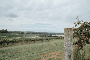 Miscellaneous - Tiny House 800 at the Vintry by Tiny Away (Pokolbin)