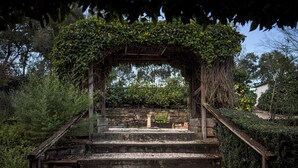Uma escadaria de madeira com um arco de madeira, cercada por vegetação e árvores.