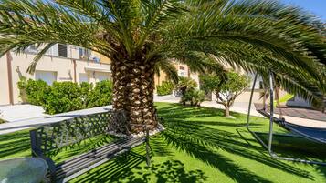 A well-maintained outdoor area with a bench, a hammock, and a palm tree.