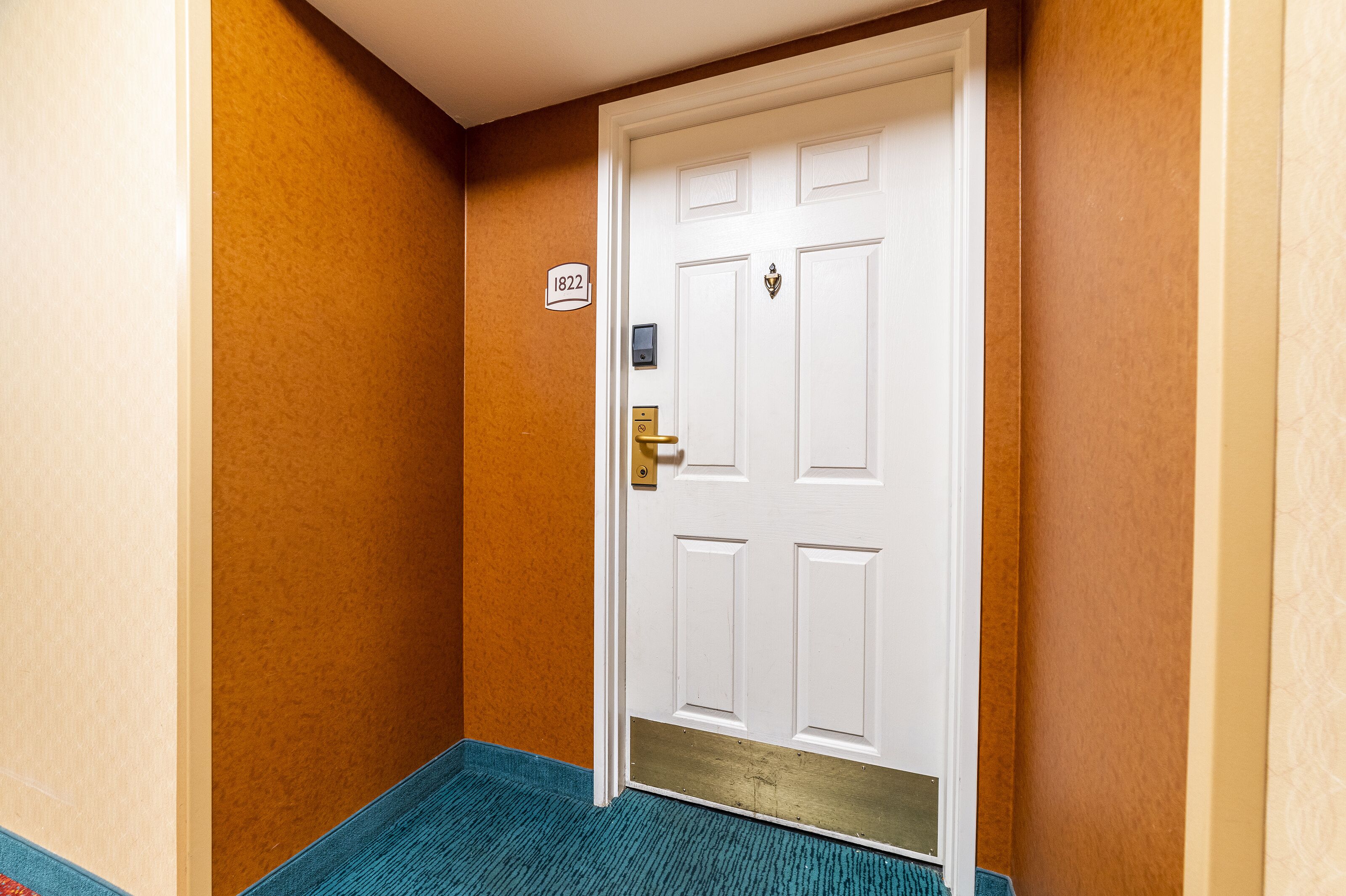 A hallway with a white door, a number plaque, and a blue carpet.