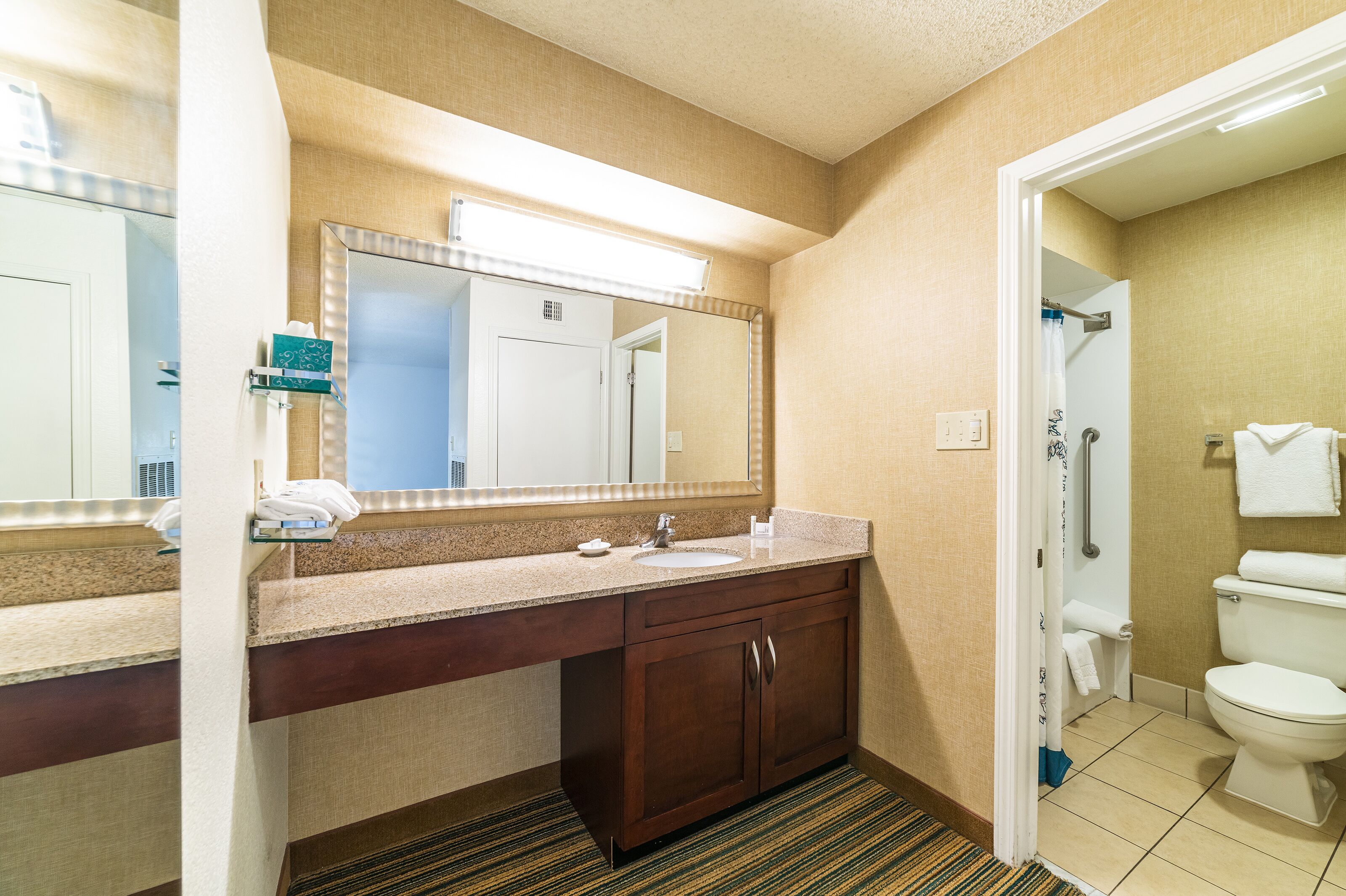 A hotel bathroom with a sink, mirror, and toilet.