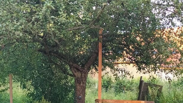Una terraza de madera con un banco y una mesa, rodeada de follaje y un árbol grande.