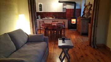 TV, fireplace, books