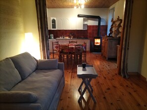 TV, fireplace, books