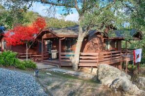 A rustic cabin with a porch, surrounded by trees and a gravel path. - Hot Tub, Views, Privacy, Game Room, just 5 min from Downtown! (Oakhurst)