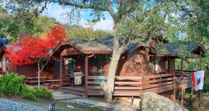 Hot Tub, Views, Privacy, Game Room, just 5 min from Downtown!