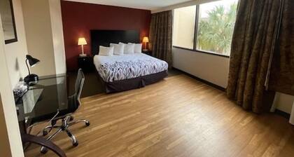 Tropical Palms Hotel