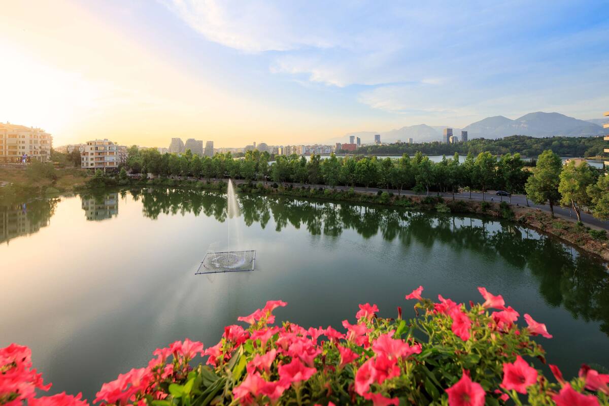 Un río tranquilo con un puente, rodeado de vegetación y edificios al fondo.