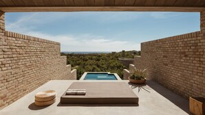 A rooftop pool area with a clear view of the surrounding landscape, a lounge with a cushion and a woven basket, and a potted plant. - Terrestre, a Member of Design Hotels (Villa de Tututepec de Melchor Ocampo)