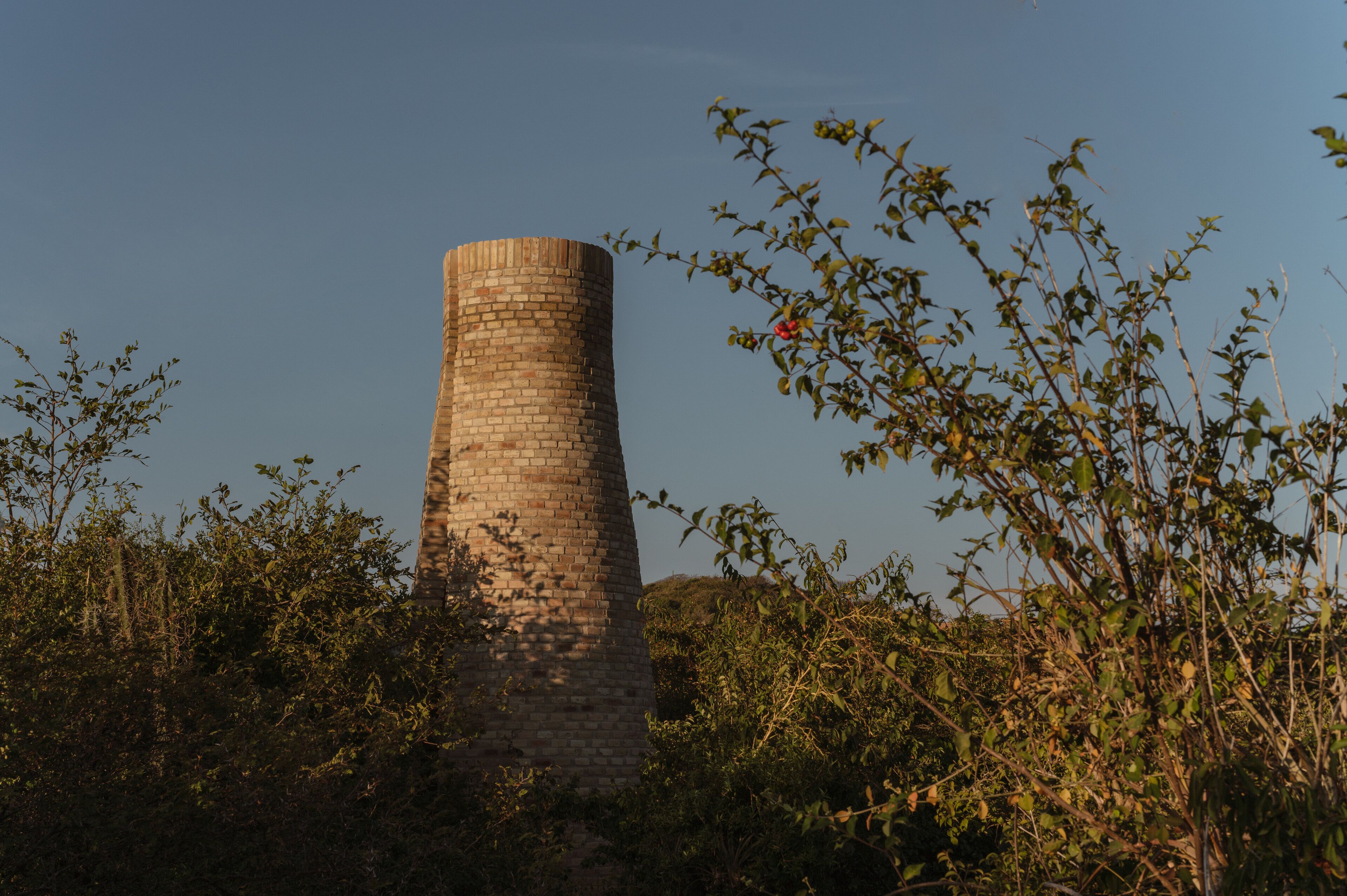 Una estructura de torre de ladrillo rodeada de vegetación densa.