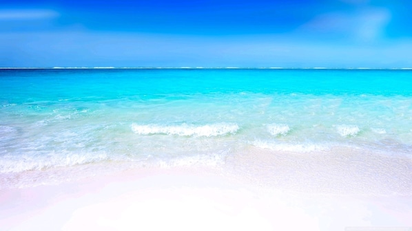 On the beach