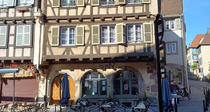 Studio in the historic center of Colmar