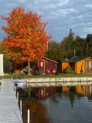 A cabin with a dock and a large tree with autumn leaves. - Northern Michigan Getaway - Cozy Log Cabin right on Crooked Lake Waterfront (Alanson)