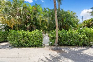 A paved pathway leading to a gated entrance surrounded by lush greenery and palm trees.