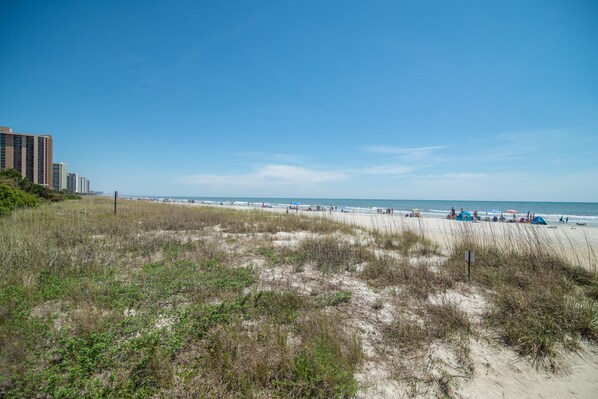A beach with a sandy shore, a few people, and buildings in the background. - $150 activities - E-gift card when you book - Stunning Oceanfront Retreat in Gated Community | M2303 (Myrtle Beach)