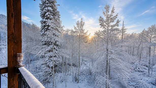 Paesaggio invernale di una foresta innevata con una struttura in legno, probabilmente una baita, e cielo sereno.
