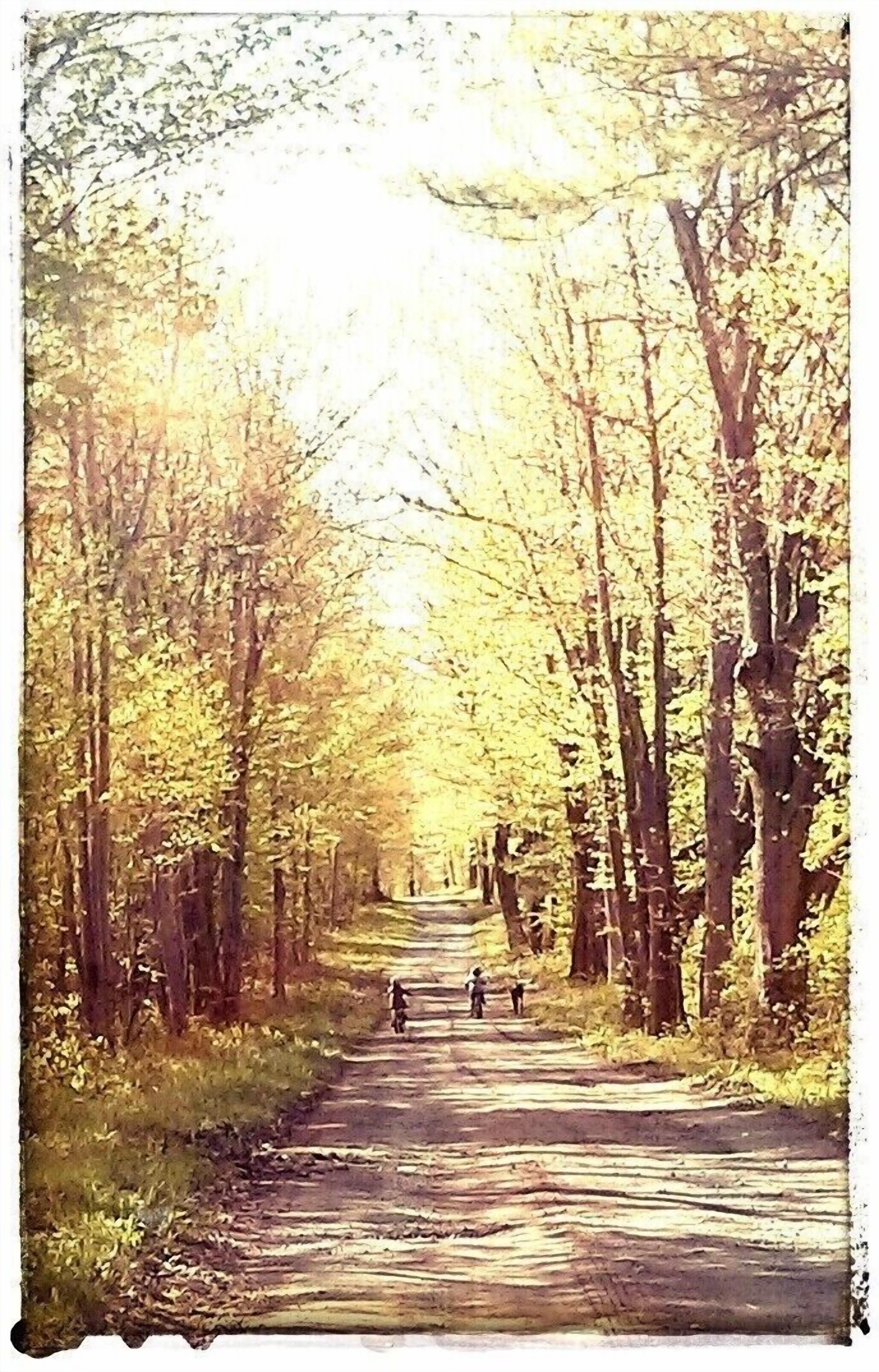 Eine von Bäumen gesäumte Straße, auf der einige Personen unterwegs sind.