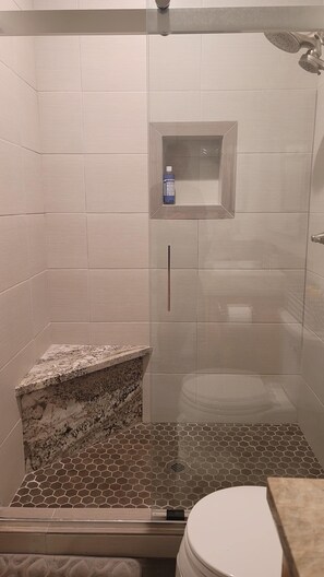 Shower, hair dryer, bidet, towels